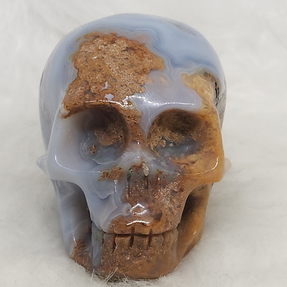 Rare Blue Banded Plume Moss Agate Skull, Druzy Quartz 💀 Crystal Collector Decor - Picture 2 of 13